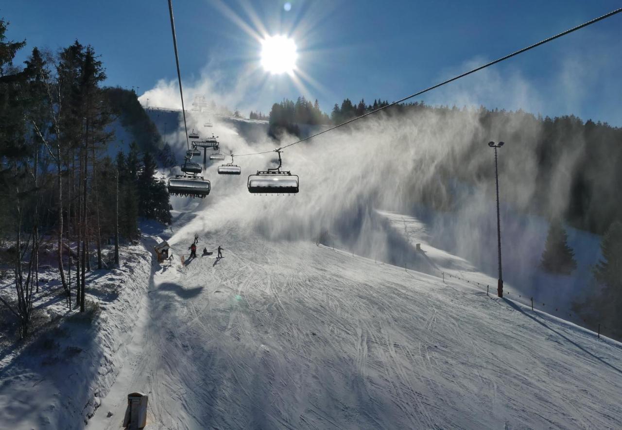 Quartier12 "Ski In & Bike Out" - Fewo Berg Willingen (Upland) Exterior foto