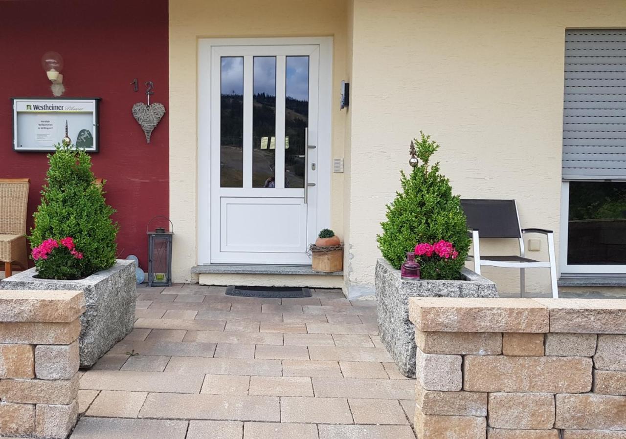 Quartier12 "Ski In & Bike Out" - Fewo Berg Willingen (Upland) Exterior foto